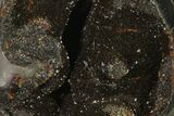 Septarian Dragon Egg Geode - Black Crystals #137949-3